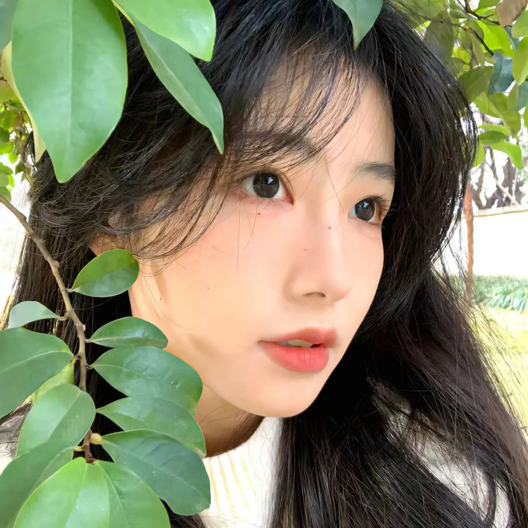 梅根失踪