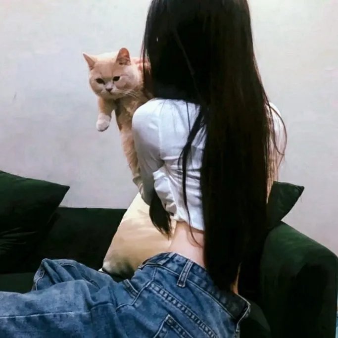 猛虎出笼